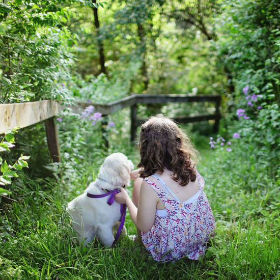 Bimbi e cani in sicurezza